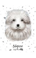 Bolognese 2020 Planner: Dated Weekly Diary With To Do Notes & Dog Quotes