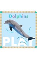 Dolphins Play