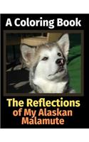 Reflections of My Alaskan Malamute: A Coloring Book