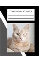 Composition Notebook, Notebooks are important