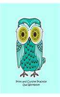 Print and Cursive Practice Owl Workbook