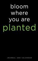 Bloom Where You Are Planted: Blank Lined Journal with Calendar for Cactus Lovers