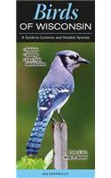 Birds of Wisconsin