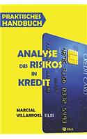 Praktisches Handbuch Analyse Des Risikos in Kredit