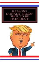 Reasons Donald Trump Should Be President (gag gift)