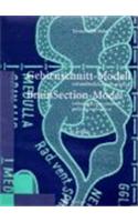 Gehirnschnitt-Modell/Brain Section Model: Mit Ausfa1/4hrlicher Bauanleitung / Including a Comprehensive Guide to Construction