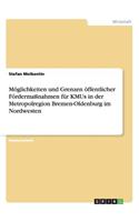 Möglichkeiten und Grenzen öffentlicher Fördermaßnahmen für KMUs in der Metropolregion Bremen-Oldenburg im Nordwesten