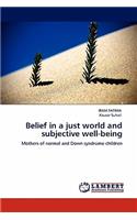 Belief in a just world and subjective well-being
