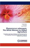 Phenacoccus Solenopsis