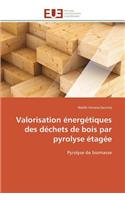 Valorisation énergétiques des déchets de bois par pyrolyse étagée