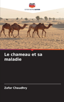 chameau et sa maladie