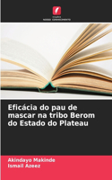 Eficácia do pau de mascar na tribo Berom do Estado do Plateau