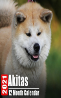 Calendar 2021 Akitas
