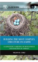 Building the Most Complex Structure on Earth