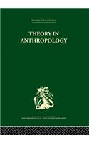 Theory in Anthropology