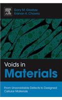 Voids in Materials