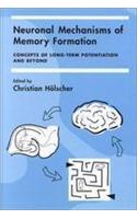 Neuronal Mechanisms of Memory Formation: Concepts of Long-Term Potentiation and Beyond