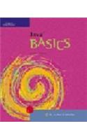 Java BASICS