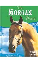 The Morgan Horse