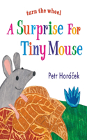 Surprise for Tiny Mouse