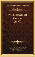 Wild Flowers of Scotland (1897)