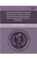 Disruption of the Furin Cleavage Site in Mouse Notch1 Results in Cardiovascular Malformations Due to Hypomorphic Notch1 Signaling