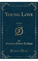 Young Love, Vol. 1 of 3: A Novel (Classic Reprint)