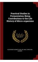 Practical Studies in Fermentation; Being Contributions to the Life History of Micro-organisms