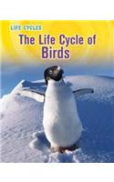 Life Cycle of Birds