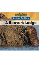 A Beaver's Lodge