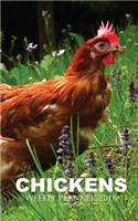 Chickens Weekly Planner 2016: 16 Month Calendar