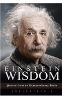 Einstein Wisdom: Quotes from an Extraordinary Brain