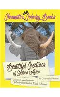 Beautiful Creatures of Southern Africa