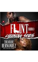 Flint, Book 1
