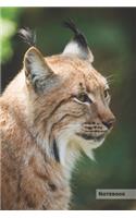 Lynx Notebook