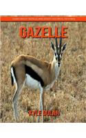 Gazelle! Learn about Gazelle and Enjoy Colorful Pictures