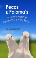 Pecas & Paloma's Picture Perfect Path Past Parts of a Pretty Planet