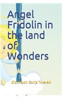 Angel Fridolin in the land of Wonders