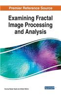 Examining Fractal Image Processing and Analysis
