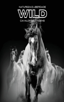 Natureza e Liberdade WILD Cavalos selvagens