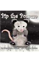 Pip the Possum