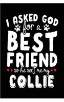 I Asked God For A Best Friend So He Sent Me My Collie: Diary Journal Notebook (notebook, journal, diary)