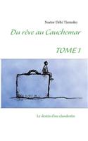 Du rêve au cauchemar: Tome 1 Le destin d'un clandestin