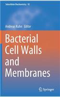 Bacterial Cell Walls and Membranes: (92 Subcellular Biochemistry)