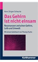 Das Gehirn Ist Nicht Einsam