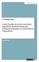 Soziale Projekte für schwer erreichbare Jugendliche. Bedarfserhebung und praktische Anregungen zu § 16 h SGB II im Vogtlandkreis