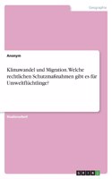 Klimawandel und Migration. Welche rechtlichen Schutzmaßnahmen gibt es für Umweltflüchtlinge?