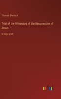 Trial of the Witnesses of the Resurrection of Jesus