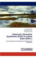 Epizootic Ulcerative Syndrome (EUS) in Labeo bata (Ham.)