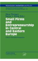 Small Firms and Entrepreneurship in Central and Eastern Europe: A Socio-Economic Perspective